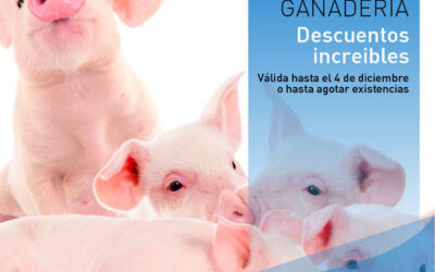 Promoción Noviembre 2021